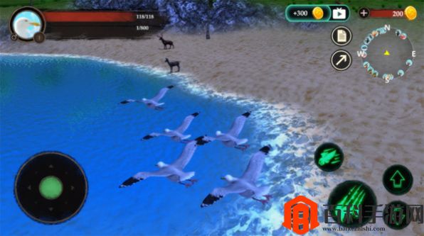 海鸥模拟器截图