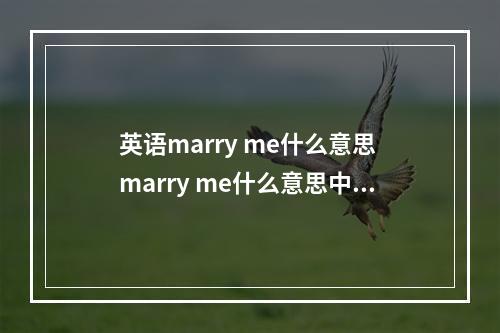 英语marry me什么意思 marry me什么意思中文