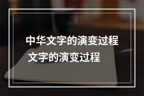 中华文字的演变过程 文字的演变过程