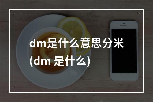 dm是什么意思分米(dm 是什么)