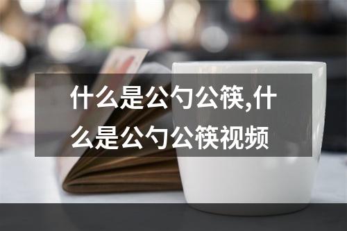 什么是公勺公筷,什么是公勺公筷视频