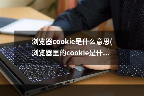 浏览器cookie是什么意思(浏览器里的cookie是什么)