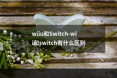 wiiu和Switch-wii和switch有什么区别