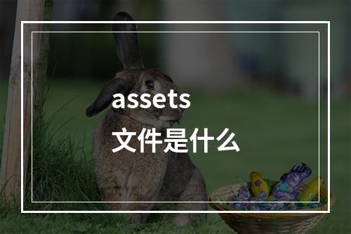 assets文件是什么