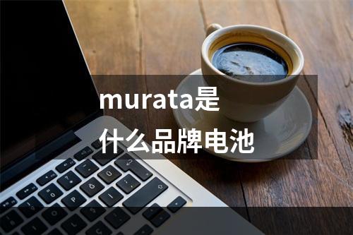 murata是什么品牌电池