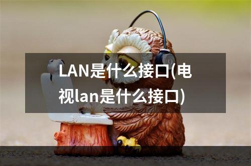 LAN是什么接口(电视lan是什么接口)