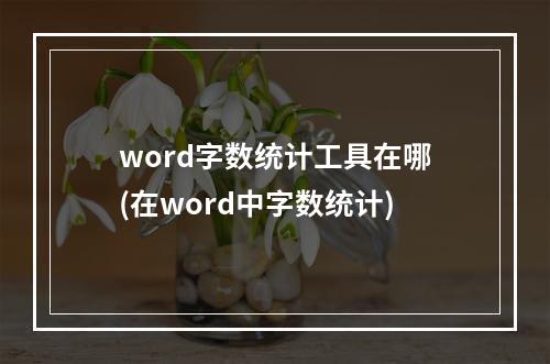 word字数统计工具在哪(在word中字数统计)