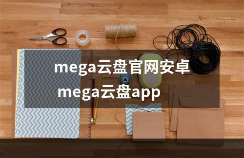mega云盘官网安卓 mega云盘app