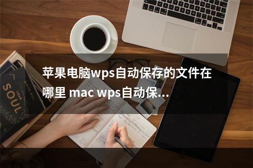 苹果电脑wps自动保存的文件在哪里 mac wps自动保存路径