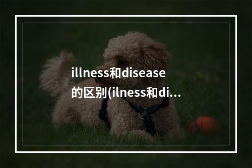 illness和disease的区别(ilness和disease的区别)