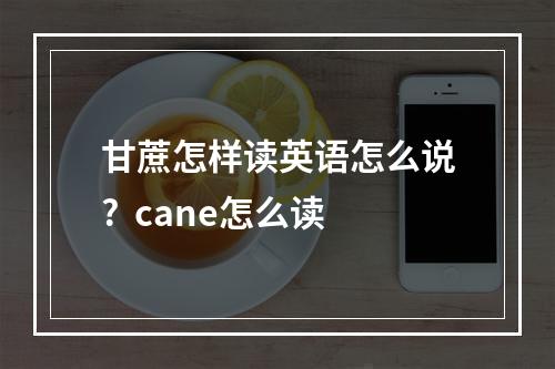 甘蔗怎样读英语怎么说?  cane怎么读