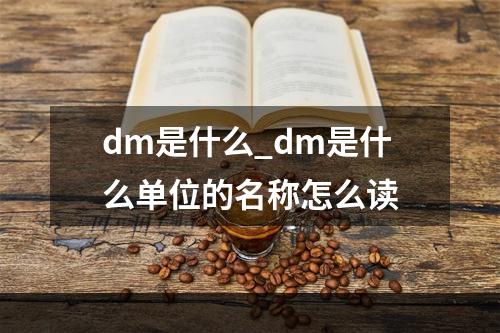 dm是什么_dm是什么单位的名称怎么读