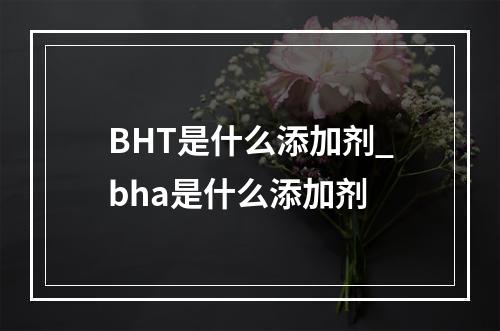 BHT是什么添加剂_bha是什么添加剂