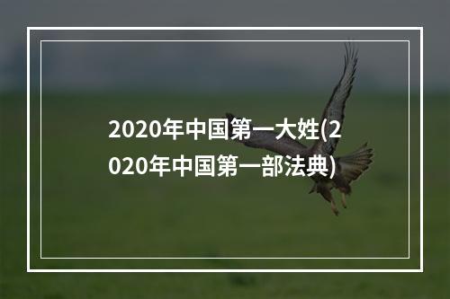 2020年中国第一大姓(2020年中国第一部法典)