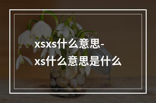 xsxs什么意思-xs什么意思是什么