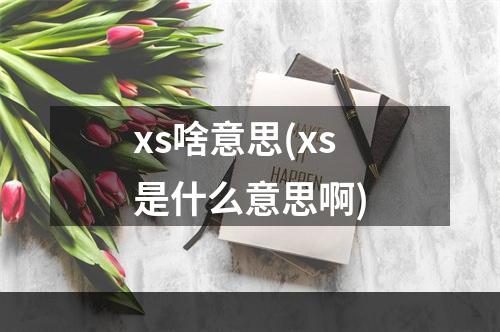 xs啥意思(xs是什么意思啊)