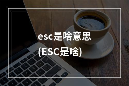 esc是啥意思(ESC是啥)