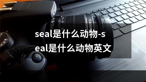 seal是什么动物-seal是什么动物英文