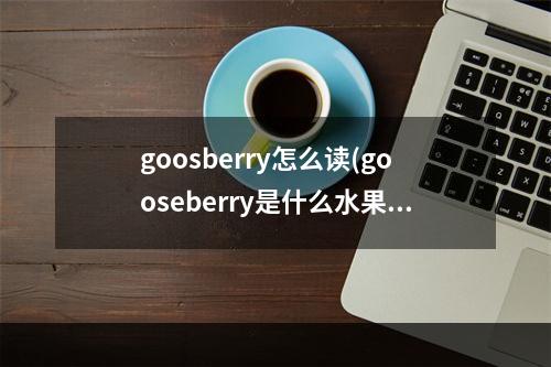 goosberry怎么读(gooseberry是什么水果)