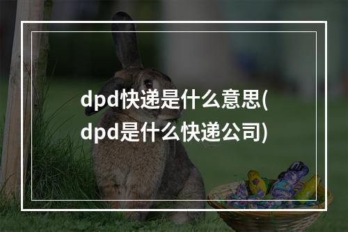 dpd快递是什么意思(dpd是什么快递公司)