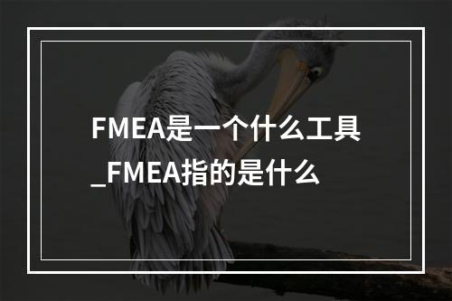 FMEA是一个什么工具_FMEA指的是什么