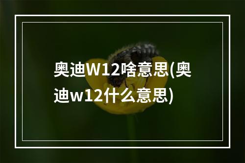 奥迪W12啥意思(奥迪w12什么意思)