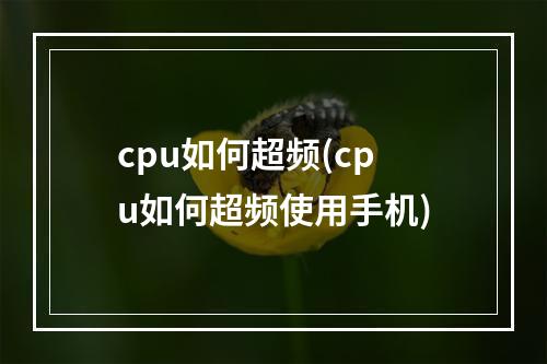 cpu如何超频(cpu如何超频使用手机)