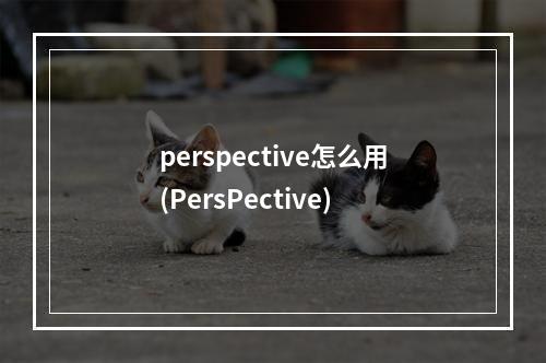 perspective怎么用(PersPective)