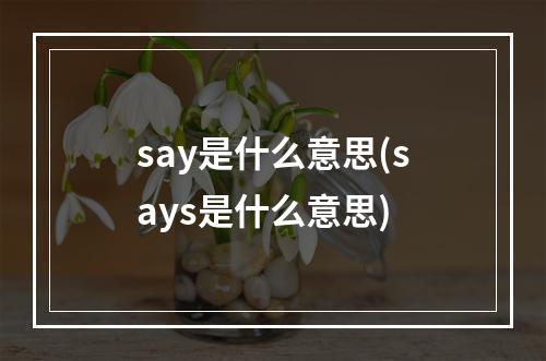 say是什么意思(says是什么意思)