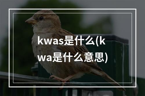 kwas是什么(kwa是什么意思)