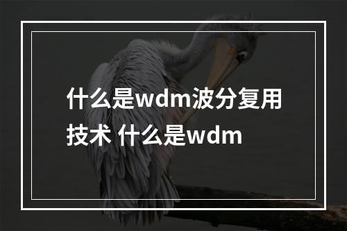 什么是wdm波分复用技术 什么是wdm