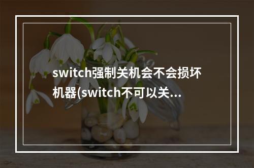 switch强制关机会不会损坏机器(switch不可以关机吗)