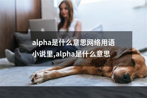 alpha是什么意思网络用语小说里,alpha是什么意思