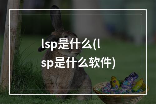 lsp是什么(lsp是什么软件)
