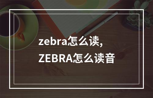 zebra怎么读,ZEBRA怎么读音
