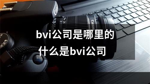 bvi公司是哪里的 什么是bvi公司