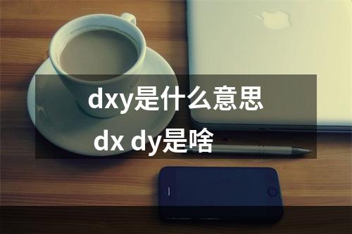 dxy是什么意思 dx dy是啥