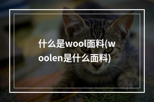 什么是wool面料(woolen是什么面料)