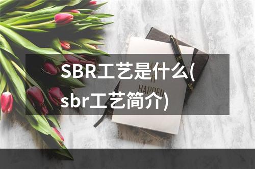 SBR工艺是什么(sbr工艺简介)