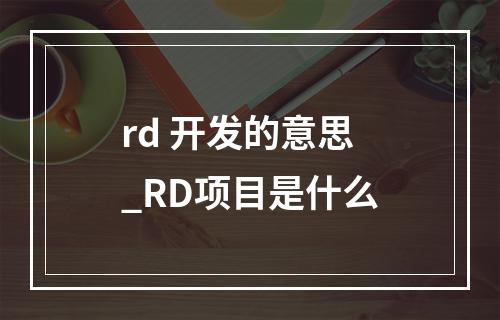 rd 开发的意思_RD项目是什么
