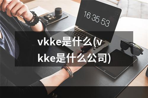 vkke是什么(vkke是什么公司)