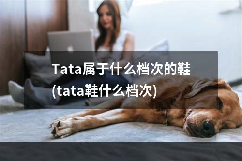 Tata属于什么档次的鞋(tata鞋什么档次)