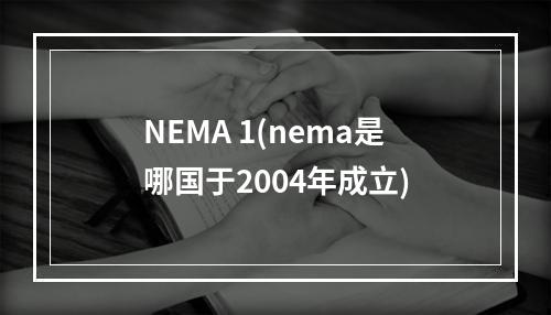 NEMA 1(nema是哪国于2004年成立)