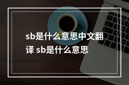 sb是什么意思中文翻译 sb是什么意思