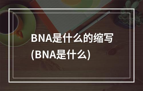 BNA是什么的缩写(BNA是什么)