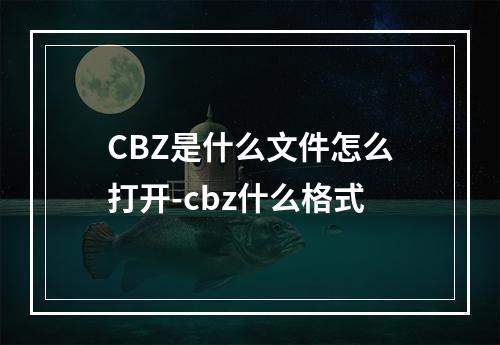 CBZ是什么文件怎么打开-cbz什么格式