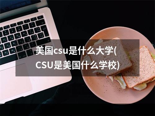 美国csu是什么大学(CSU是美国什么学校)