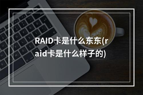 RAID卡是什么东东(raid卡是什么样子的)