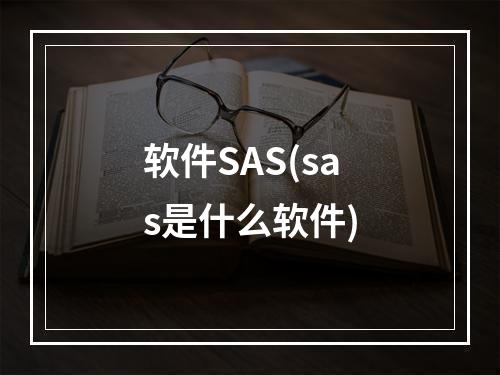 软件SAS(sas是什么软件)