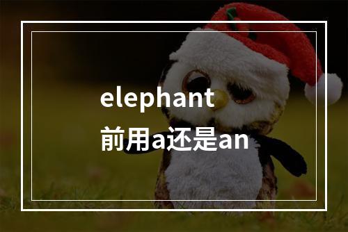 elephant前用a还是an